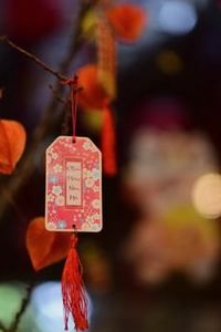 liêng di động 8Day